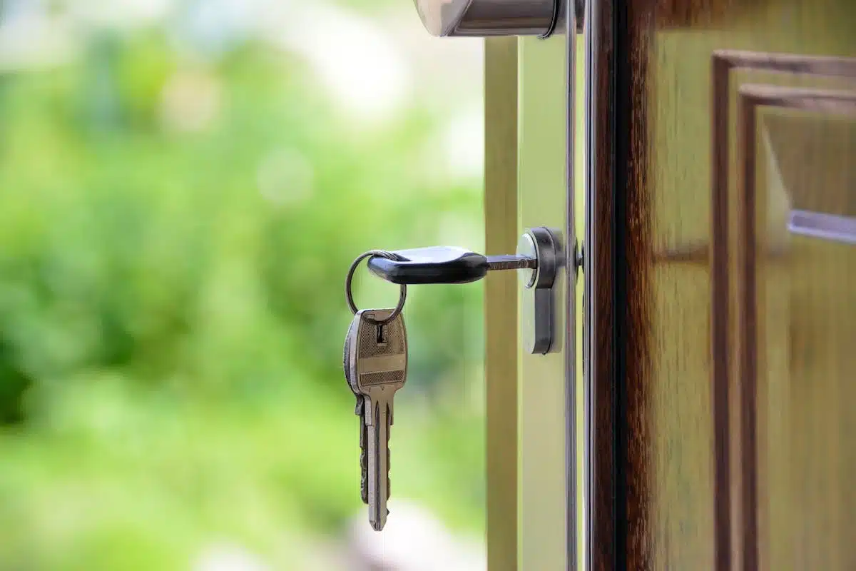 immobilier  locataires