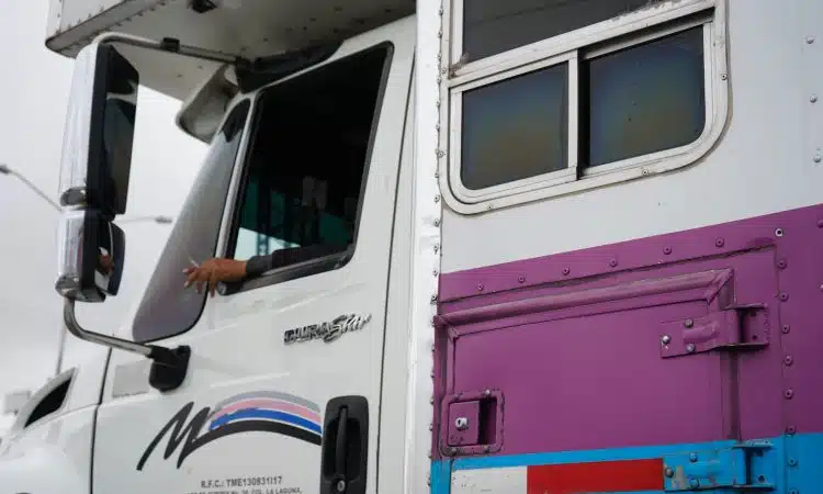 white and pink van during daytime